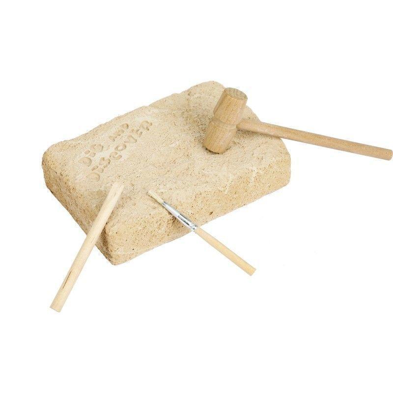 Kit de paleo - Ambre – Image 2