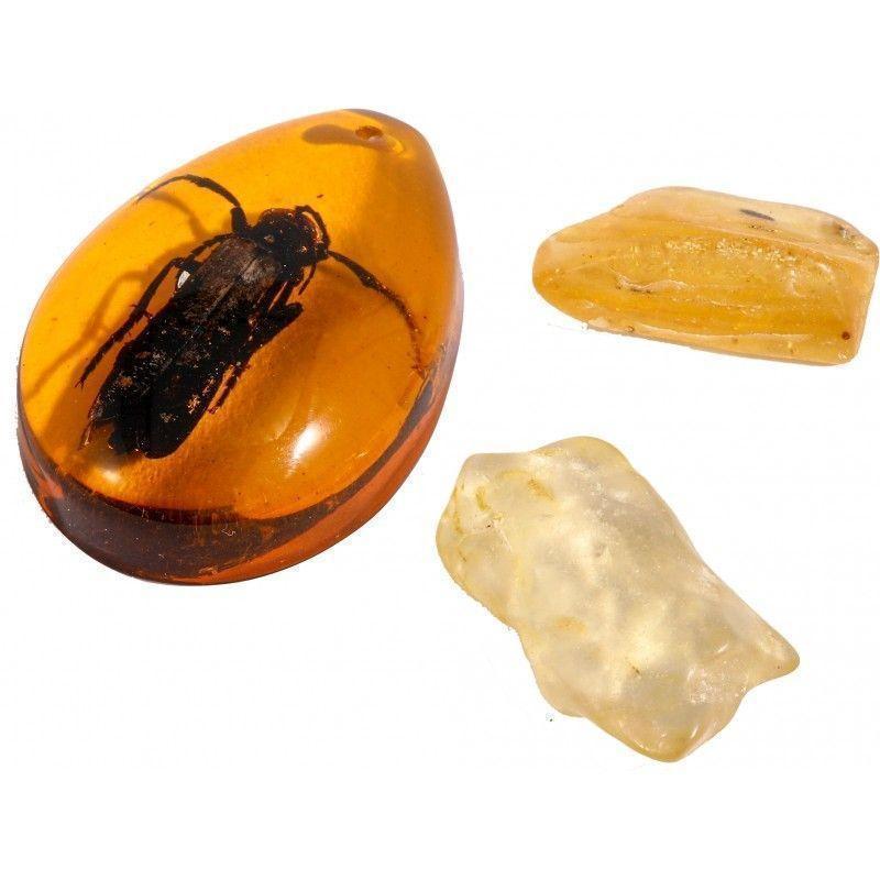 Kit de paleo - Ambre – Image 3