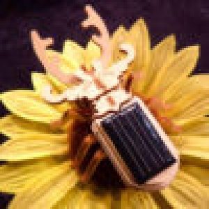 Maquette solaire Animaux en bois Scarabée / Libellule / Scorpion /Mante religieuse